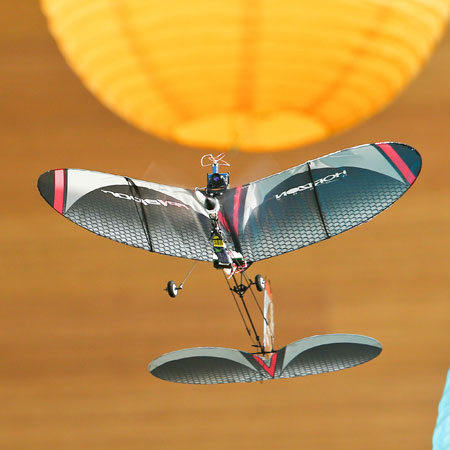 vapor rc airplane
